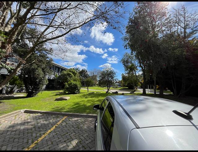 1,035M² WAREHOUSE TO LET IN ELSIES RIVER INDUSTRIAL